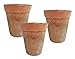 Produktbild zeitzone Blumentopf Set Terracotta Aged 3 Stück Pflanztopf Mediterran Ø 12,5 cm