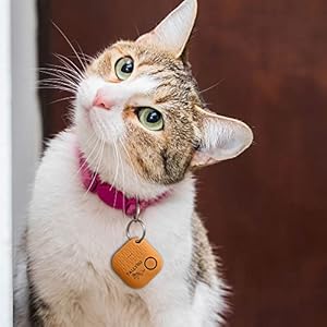 Bluetooth Asset Tracker ios and Android Compatible Key Finder Item Locator Phone Finder Wallet Purse Backpack Luggage Extra Batteries Inventory List tgtracker Multicolor 4pack Cucciolini Doodles Bluetooth asset tracker ios and android compatible key finder item locator phone finder wallet purse backpack luggage extra batteries inventory list tg tracker multi color 4 pack cucciolini doodles