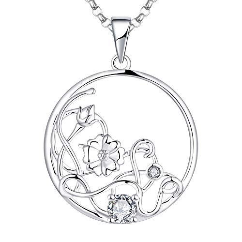 JO WISDOM Women Dragonfly Necklace,925 Sterling Silver Cubic Zirconia Dragonfly Pendant Necklace,Jewelry for Women