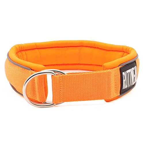 Hundehalsband (5cm breit) mit Nylon, Schaumstoff, Neopren, weich bequem, Edelstahl-D-Schlaufen, einfache Kontrolle, reflektierende Sicherheitsstreifen, leicht zu reinigen und schnell trocknend Cover