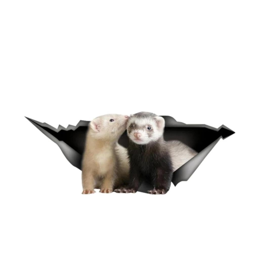 Car Sticker Ferret Pet Animal Waterproof Vinyl Decal Car Accessories Pegatinas para Coche DIY Car Styling(17CM)