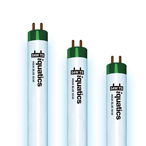 iQuatics Juwel Compatible Aquarium Fluorescent Light Bulb T5 (3 Pack), Aqua Blue 50:50, 54w 1047mm 42"