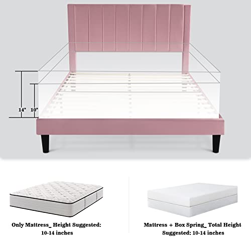 Allewie Queen Bed Frame/Velvet Upholstered Bed Frame With Vertical Channel Tufted Headboard/Strong Wooden Slats/Platform Bed Frame/Mattress Foundation/Box Spring Optional/Easy Assembly/Pink #TOP6