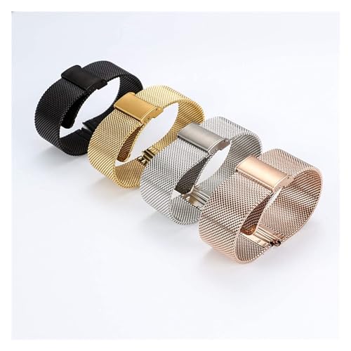 Sangle de montée sport et quotidien en acier inoxydable