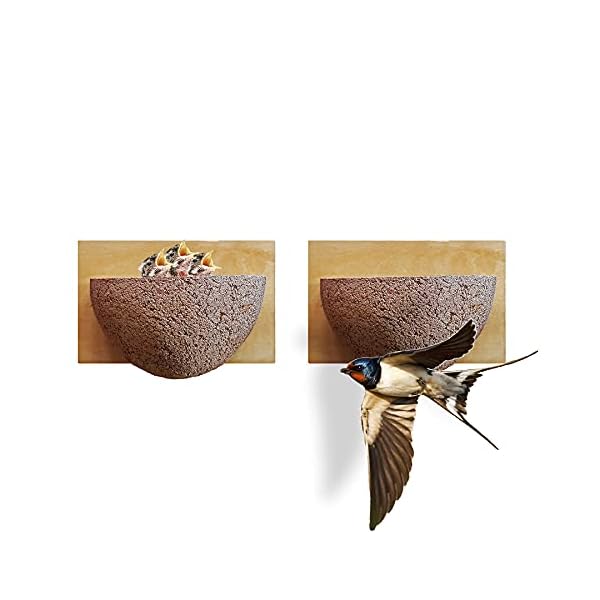BigDean 2x Schwalbennistkasten Einzelnest offen Schwalbennest Rauchschwalbennest Nistkasten Nisthilfe Schwalben…