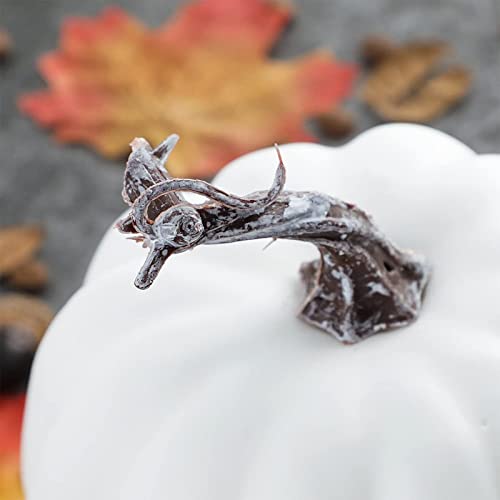 AMLESO 12Pcs Vivid Artificial Pumpkins Set, Large Party Props Simulation for Thanksgiving Halloween Holiday Decor Fall Autumn, White