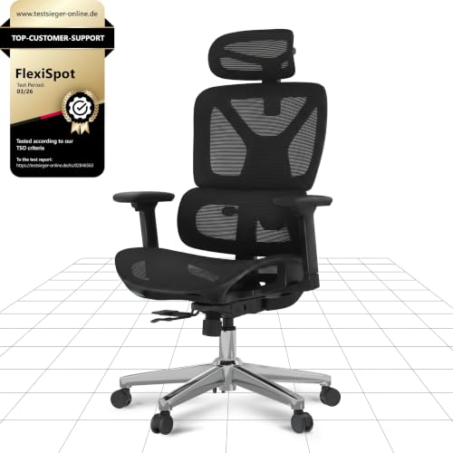 FLEXISPOT ErgoX Ergonomic Office Chair, Executive Mesh Desk Chair with Height Adjustable Seat, Headrest, Armrests & Independent Lumbar Support, Swivel Task Chair, Black