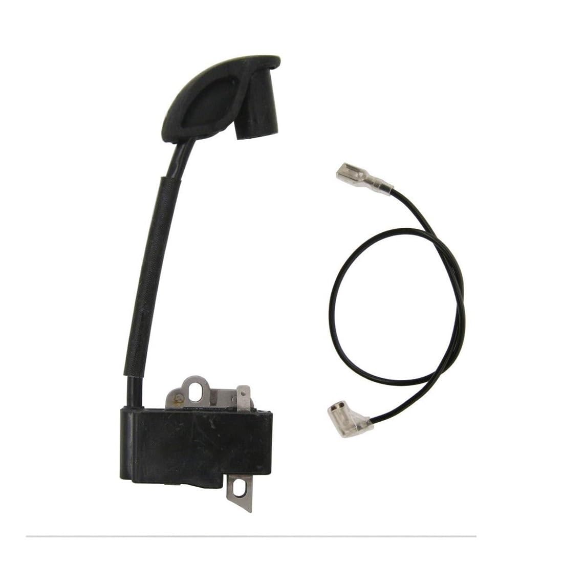 Bobine d'allumage pour entretenir les bordures avec la FS100