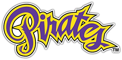 Decal Vinyl Sticker East Carolina Pirates Vinyl Durable for Bumpers, Helmets, Laptops, Water Bottles, Lockers (3