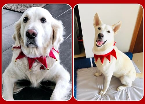 Weihnachtskostüm Hunde Katzen, Weihnachten Hundekostüm Halsband mit Glöckchen Weihnachts Kostüm Halsbänder, Rot Hundehalsband Schal Outfit Geschenk für Klein Mittlere Groß Hund Katze Welpen (M)