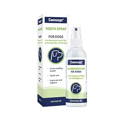 Canosept Dental Care Spray for Dogs 100 ml - Dog teeth cleaning product for dental care and oral hygiene - Dog breath freshener - Plaque off Dogs