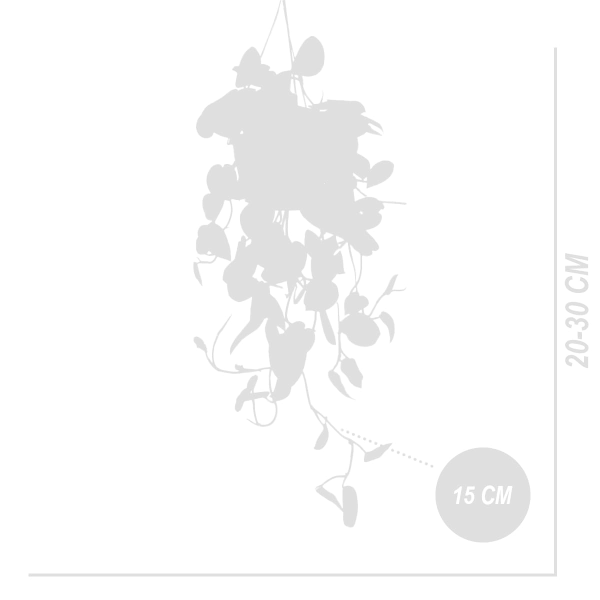 Bloomique - Scindapsus Pictus - Silvervine - Plante retombante - Convient également comme plante grimpante - Plante d'intérieur - Purificateur d'air - Facile d'entretien - Hauteur 20-25 cm - Pot 15 cm