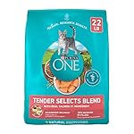 Purina ONE Natural Dry Cat Food, Tender Selects Blend with Real Salmon - 22 lb. Bag