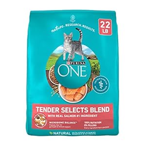Purina ONE Natural Dry Cat Food, Tender Selects Blend with Real Salmon – 22 lb. Bag