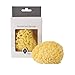 Kyte Baby Natural Sea Sponge, 4 to 5 Inches