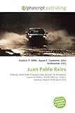 Juan Pablo Raies: Rallying, World Rally Championship, Renault 18, Mitsubishi Lancer Evolution, World Rally Car, Subaru Impreza, Stobart VK M-Sport Ford