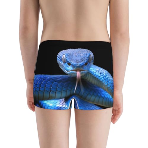 Boys' Cotton Boxer Brief Soft Underwear-Blue Viper Snake3
