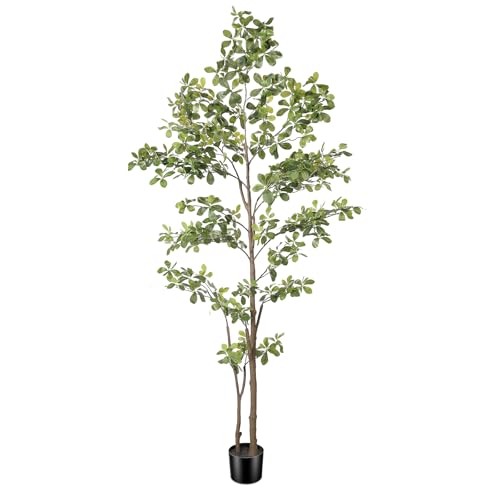 PHYTREE Black Olive Tree 7ft with Realistic Natural Trunk & Lifelike Leaves