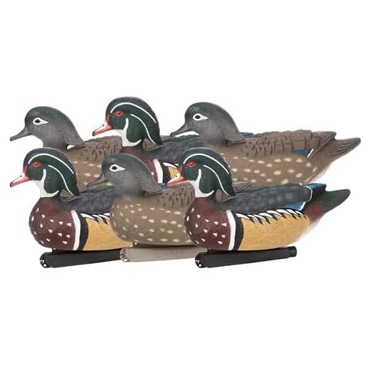 ZINK Floater Wood Duck Decoys | 6-Pack Life-Size Floating Decoys for Duck Hunting | 3 Drakes & 3 Hens | Hand-Painted Waterfowl Hunting Decoys with Weight Forward Keel & Front Line-Lock