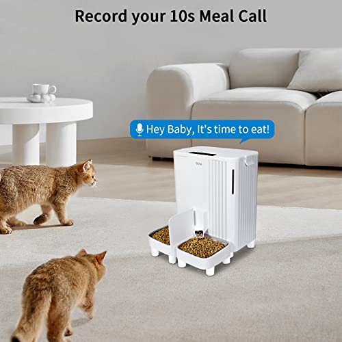 Timed Automatic Cat Feeder Wifi: 6L Dry Food Dispenser For Small Medium Large Dog - Auto Pet Feeder With App Remote Control - Automatic Dog Feeder With 2 Stainless Steel Bowls - 10S Voice Recorder #TOP4