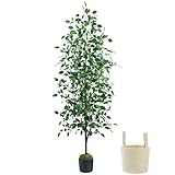 Caxchiling Fake Ficus Tree 6FT, Artificial Tree with Pot for Indoor Outdoor, Lifelike Faux Floor Plants with Moss Topper and Cotton Basket, Home Office Living Room Bedroom Doorway Hallway Decor