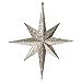 Vickerman 418031-12" Rose Gold Glitter Bethlehem Star Christmas Tree Ornament (2 pack) (M167448)