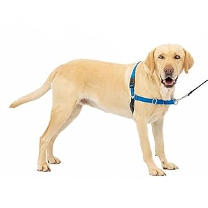 PetSafe Easy Walk No-Pull Dog Harness – The Ultimate Harness to Help Stop Pulling – Take Control & Teach Better Leash Manners – Helps Prevent Pets Pulling on Walks, Large, Royal Blue/Navy Blue