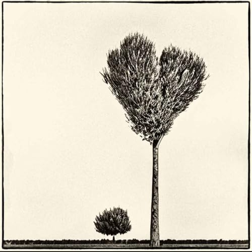 T&eacute;moignage de Camille qui rentre en PMA