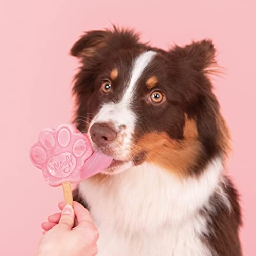 Smoofl Hundeeis, Premium Hundesnacks: EIS Fuer Hunde als Snack und zur Abkuehlung im Sommer und als gesunde Hundeleckerli mit erfrischender Wirkung, Hundeeis Sorte Wassermelone