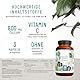 NATURTREU® Calcium hochdosiert mit Vitamin C vegan - 120 Kalzium Kapseln 800mg hochdosiertes Calcium pro Tagesdosis - Ohne Zusatzstoffe
