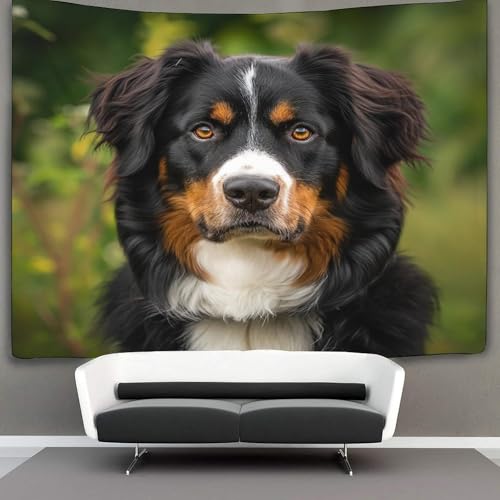 Couverture murale 3D Springer Spaniel en polyester doux