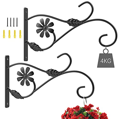 How To Find The Best WallMounted Plant Hangers For Your Home