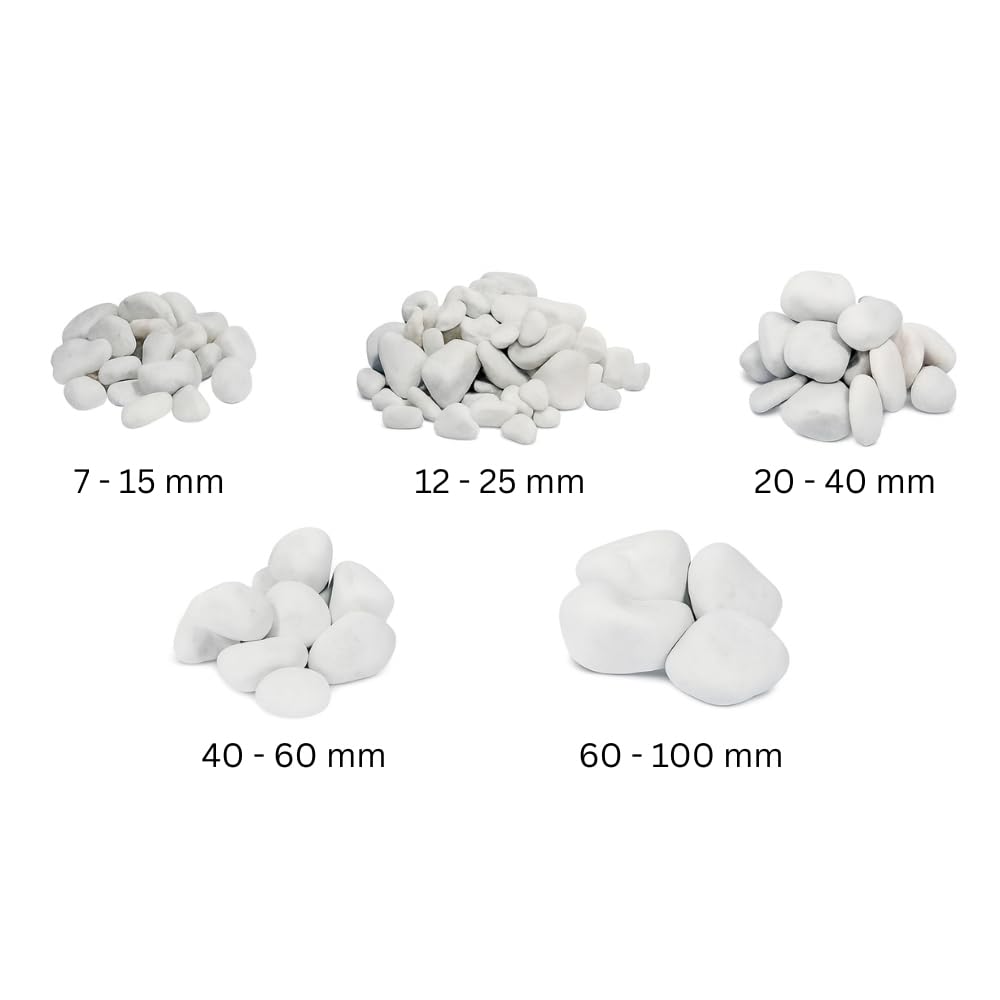 FORTUNATO Ciottoli in Marmo Bianco Carrara, Decorativi per Esterni, Superficie Levigata, Vari Formati (Misura : 25/40, Formato : 5 kg)