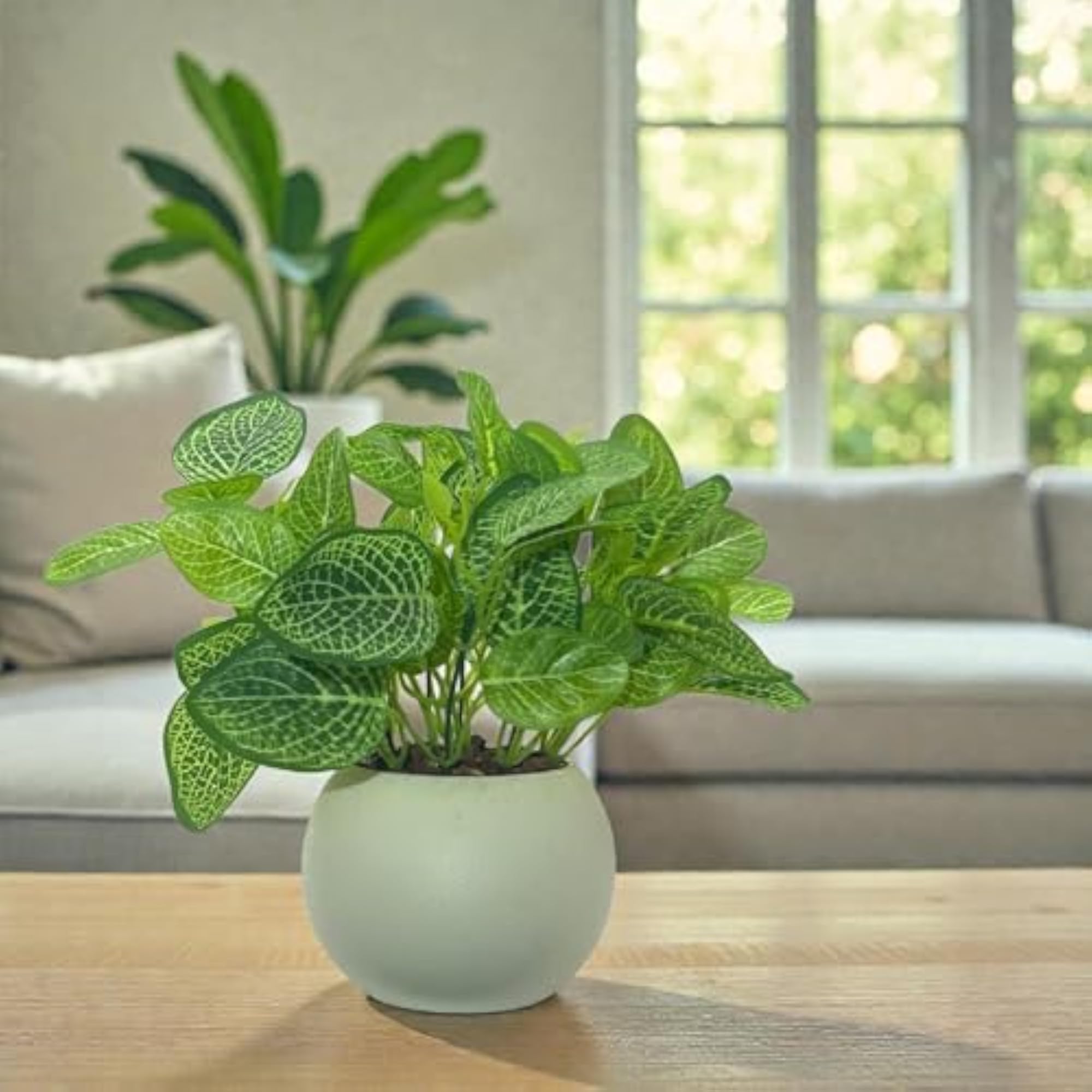 Artificial Plants with Pot for Home & Office Decor