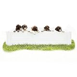 Clean Earth Works - 48” x 48” - White Large Vinyl Plastic Whelping Box & Puppy Playpen, Good for All