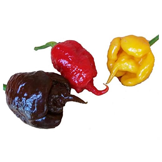 30 SEMI DI PEPERONCINO CAROLINA REAPER RED CHOCOLATE E YELLOW GUINNESS WORLD RECORD COME PIU' PICCANTE AL MONDO