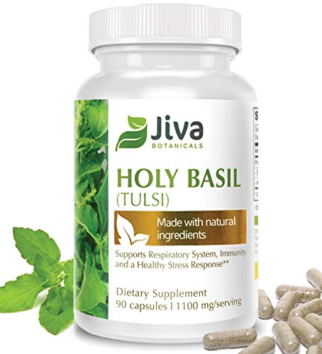 Holy Basil Capsules Immune Support, Stress Support, Heart Health. Advanced Tulsi Holy Basil Extract Formula by Jiva Botanicals 90 Veg Caps