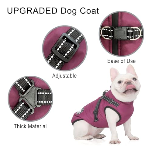 Hundemantel Wasserdicht, Hundemantel Französische Bulldogge, Warme Weste mit Hundegeschirr, Verschiedene Größen,Hundejacke für Kleine Hunde