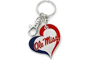 aminco NCAA Swirl Heart Keychain