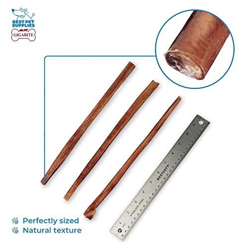 Image of GigaBite Bully Sticks for Dogs All Natural Beef Pizzle Dog Chews, Odor & Rawhide Free Dog Treats, Long Lasting High Protein Chews Digestible Dental Dog Treat - Sticks (Half-cut 12 inch), Pack of 10
