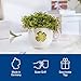 Villeroy & Boch Imagen de Villeroy & Boch