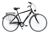 Hochwertig verbaute Komponenten wie die robuste Shimano Nexus 3-Gang Nabenschaltung oder der bequeme Wittkop Big City Sattel mit Regenschutz.
