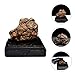 UKCOCO Real Meteorite Space Rock Meteorite Science Collection Lithosiderite Ornament with Box for Lab Box Color