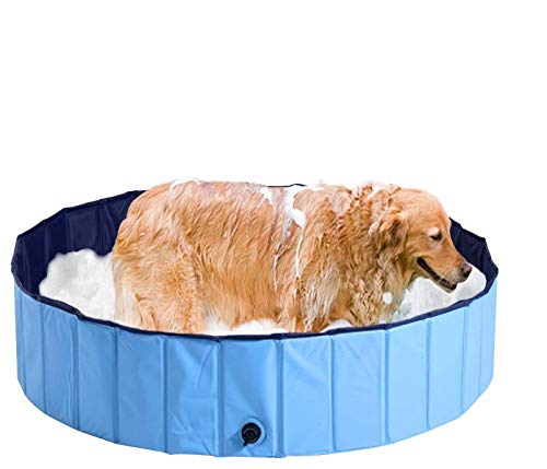 Chien Douche Baignoire Chien Douche Baignoire