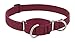 Martingale Dog Collar by Lupine ECO Collection 1