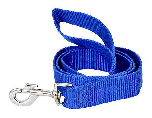 Image of No Pull -Step in Soft Padded Buckle Dog Harness and Collar Leash - Escape Proof Adjustable Combo for Walking Training Hiking Outdoor (Blue, Extra Small)