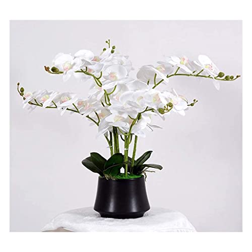 Juego de flores artificiales, flores artificiales con maceta Phalaenopsis en florero, flores falsas para decoración de sala de estar, 55 cm de altura, hermosas flores artificiales An,F (C