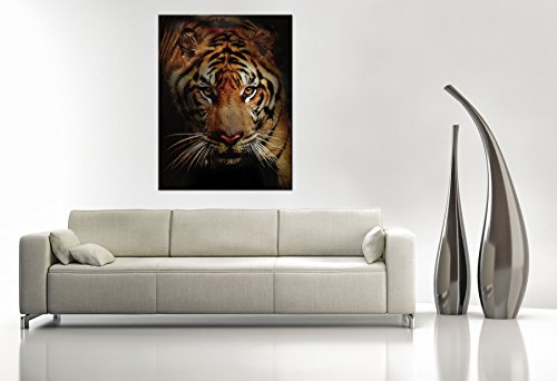Large Canvas Print Wall Art – Intense Stare – 30X40 Inch Animal Canvas Picture Stretched On A Wooden Frame – Giclee Canvas Printing – Hanging Wall Deco Picture / E4153 #TOP2