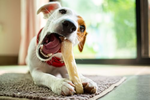 ARTISAN GIFT CO Kaustab aus Hartkäse - Kaukäse für Hunde und Welpen - Himalaya Knochen - 100% natürlicher - Gewicht der Charge 190g. (2 stück (1er Pack), L.)