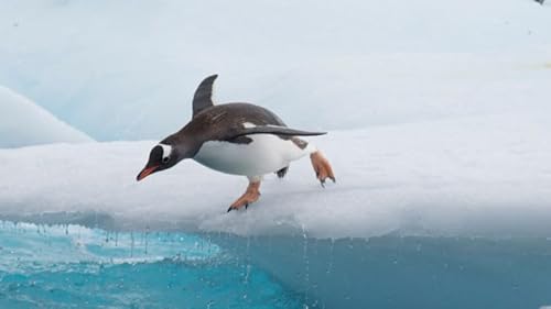 The Book of Acts - Part 17 - 02/11/2026